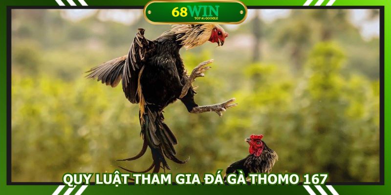 Nắm bắt luật tham gia để nâng cao chiến thuật đặt cược