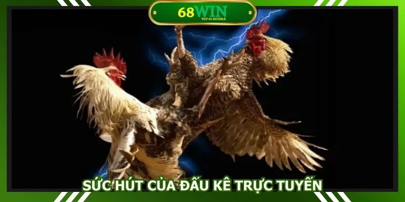 Sức hút của đấu kê trực tuyến